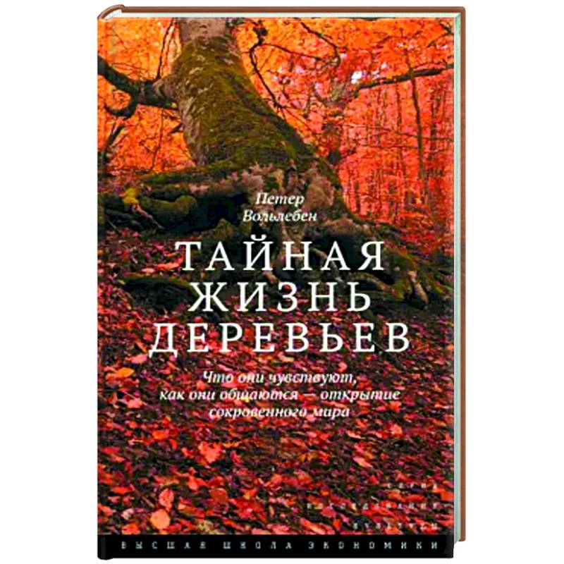 Тайная жизнь деревьев. Что они чувствуют, как они общаются — открытие сокровенного мира Тайная жизнь деревьев. Что они чувствуют, как они общаются — открытие сокровенного мира