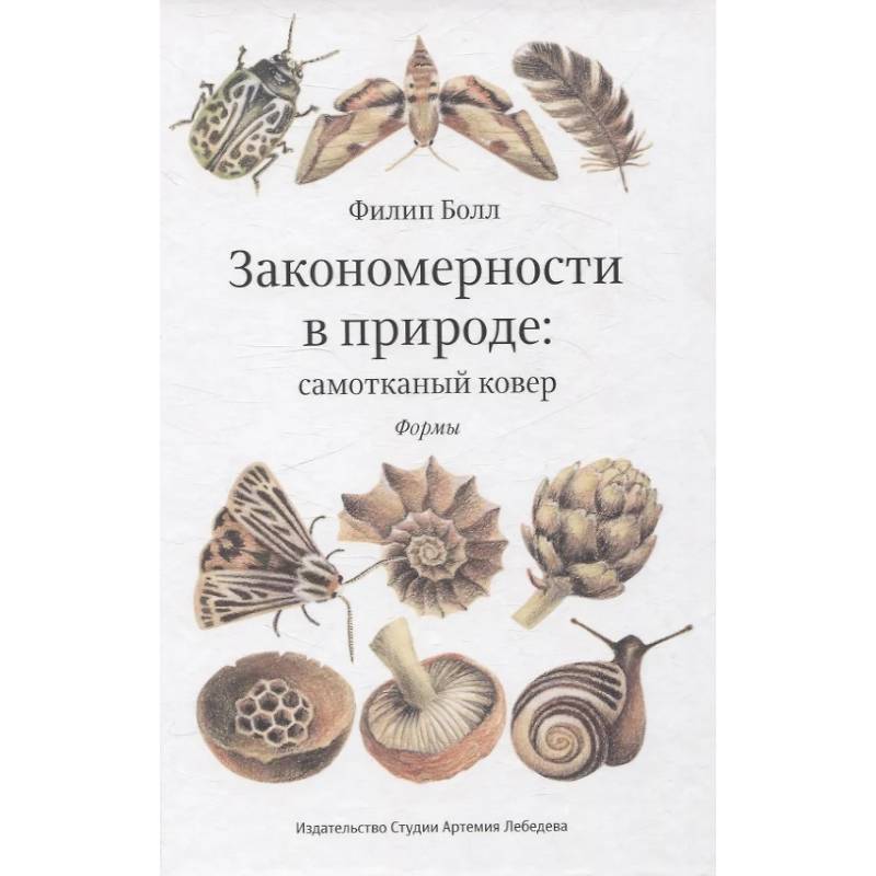 Закономерности в природе: самотканный ковер (в трех частях). Формы Закономерности в природе: самотканный ковер (в трех частях). Формы