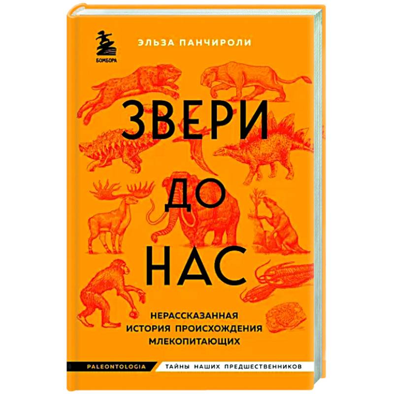 Звери до нас. Нерассказанная история происхождения млекопитающих Звери до нас. Нерассказанная история происхождения млекопитающих