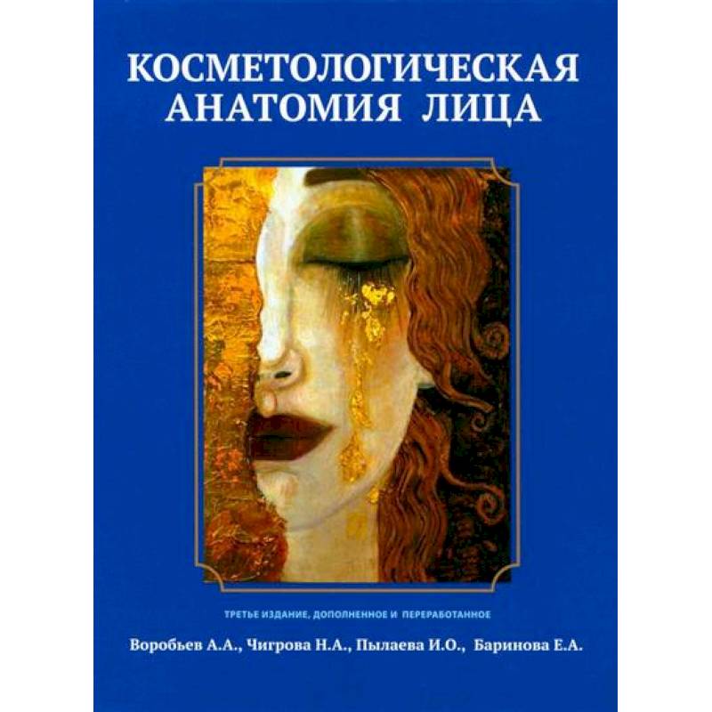 Косметологическая анатомия лица Косметологическая анатомия лица