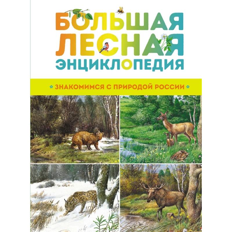 Большая лесная энциклопедия.Знакомимся с природой России Большая лесная энциклопедия.Знакомимся с природой России
