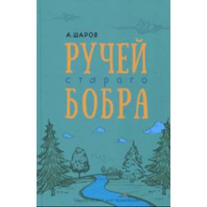 Ручей старого бобра