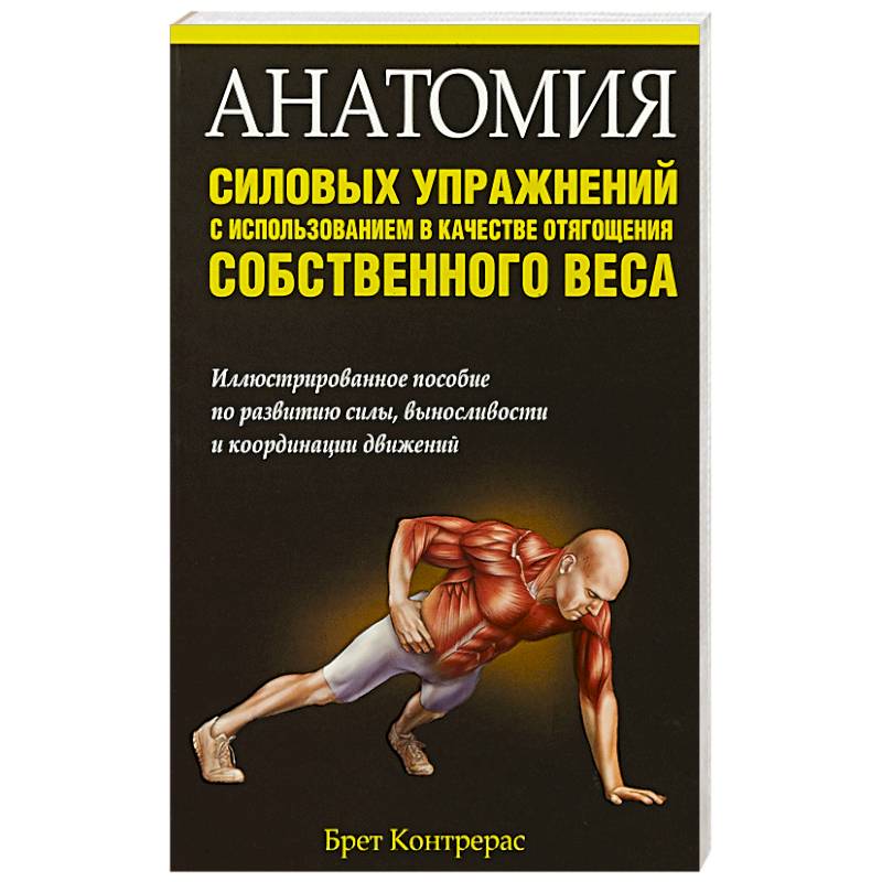 Анатомия силовых упражнений с использованием Анатомия силовых упражнений с использованием