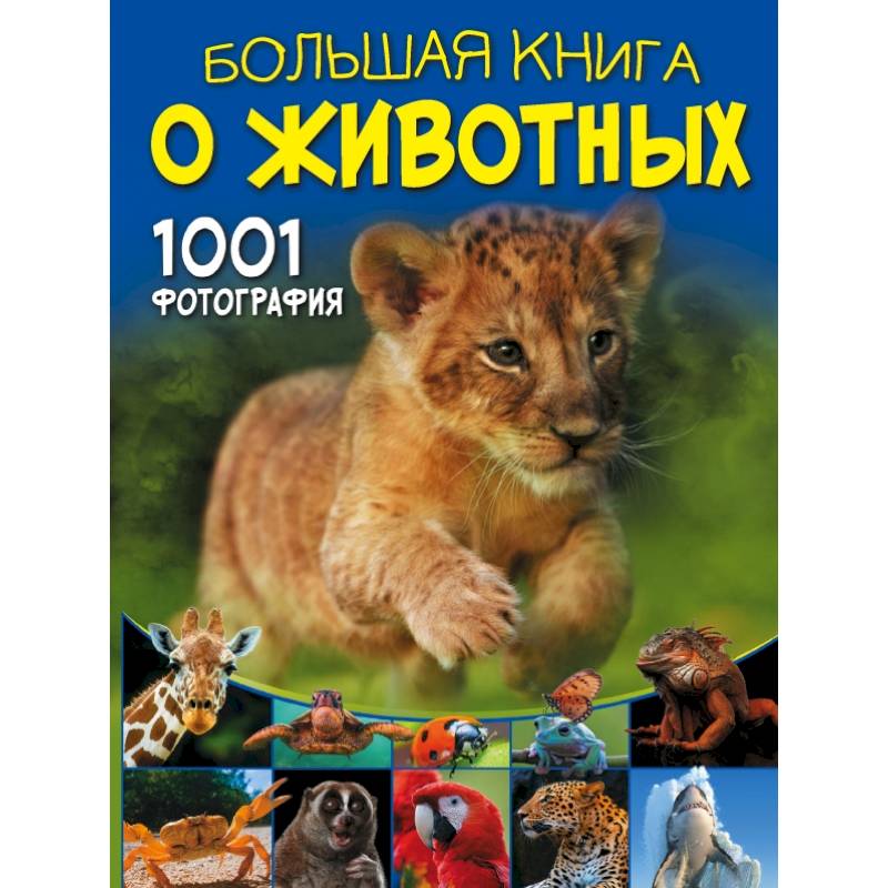 Большая книга о животных. 1001 фотография Большая книга о животных. 1001 фотография
