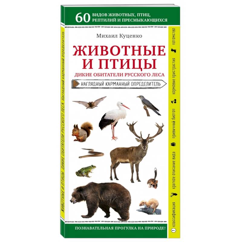 Животные и птицы. Дикие обитатели русского леса Животные и птицы. Дикие обитатели русского леса