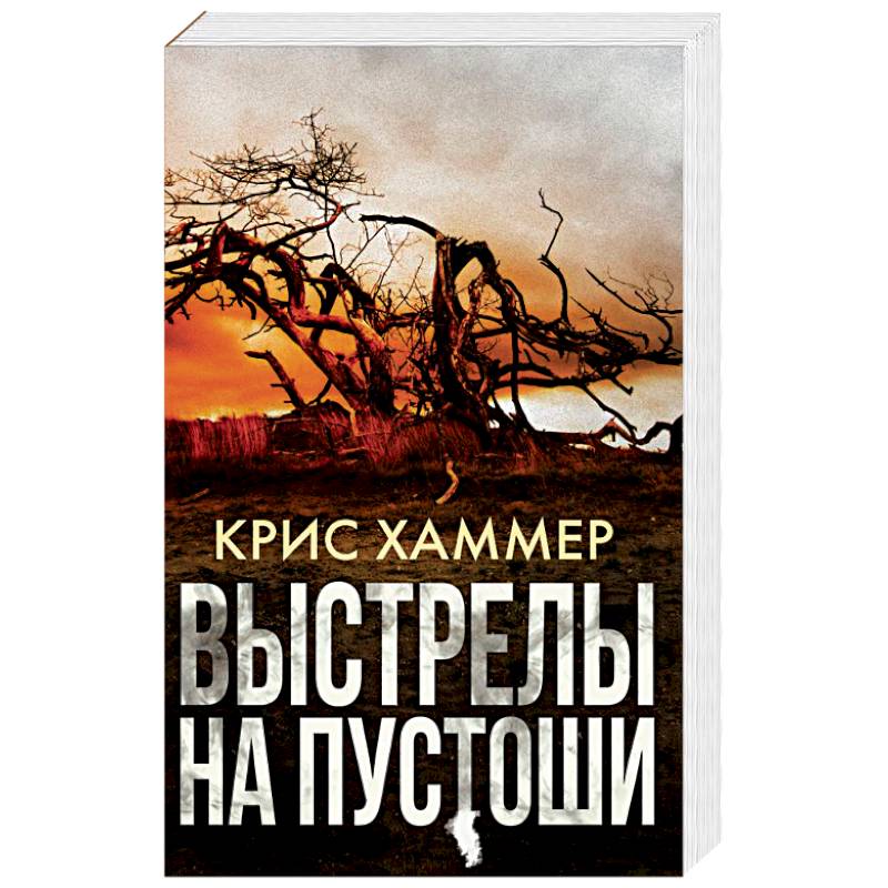 Выстрелы на пустоши Выстрелы на пустоши