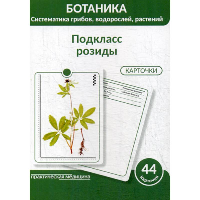 Ботаника. Систематика грибов, водорослей, растений. Подкласс розиды Ботаника. Систематика грибов, водорослей, растений. Подкласс розиды