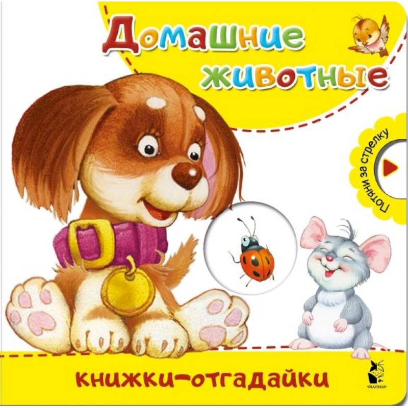 Домашние животные Домашние животные