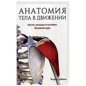 Анатомия тела в движении. Кости, мышцы и суставы: базовый курс. Учебник Анатомия тела в движении. Кости, мышцы и суставы: базовый курс. Учебник
