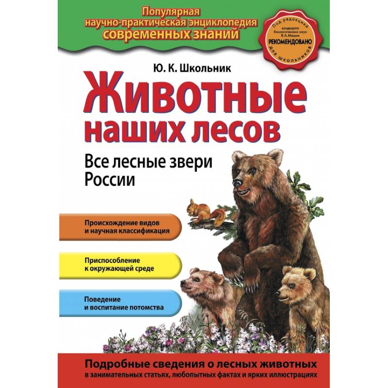Животные наших лесов. Все лесные звери России Животные наших лесов. Все лесные звери России