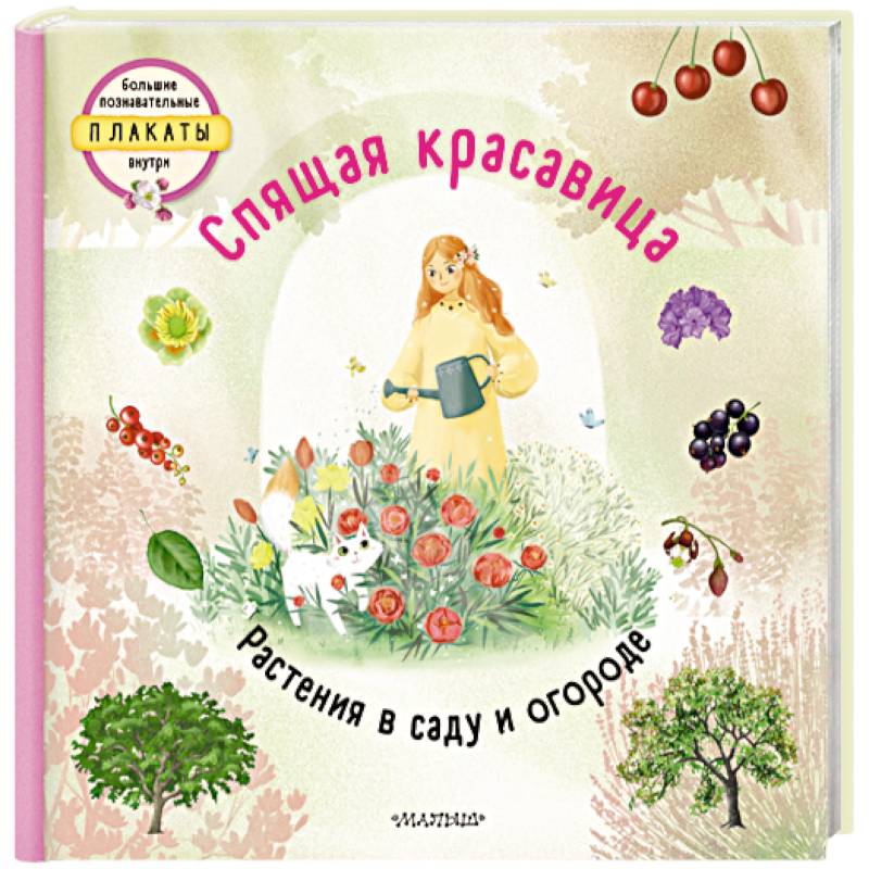 Спящая красавица Спящая красавица