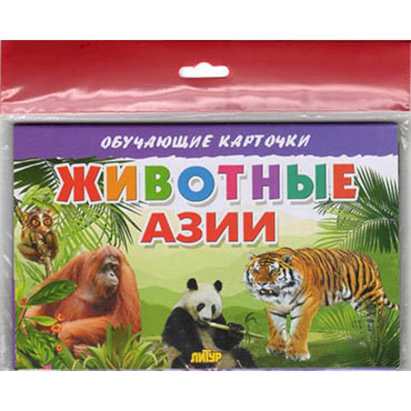 Животные Азии Животные Азии