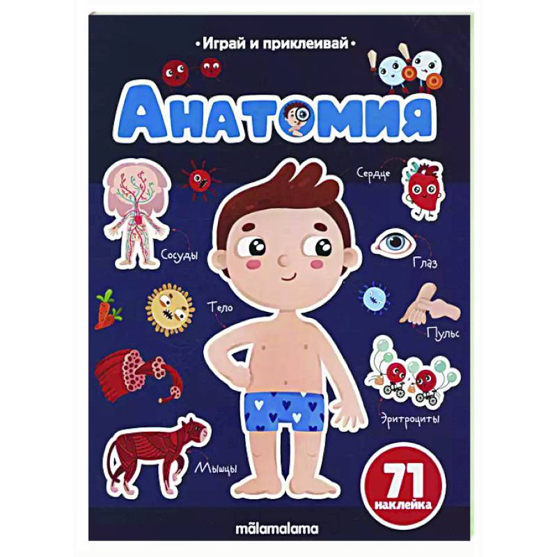 Анатомия. Играй и приклеивай Анатомия. Играй и приклеивай
