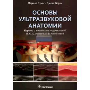 Основы ультразвуковой анатомии Основы ультразвуковой анатомии