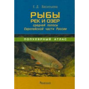 Рыбы рек и озёр средней полосы Европейской части России. Популярный атлас Рыбы рек и озёр средней полосы Европейской части России. Популярный атлас