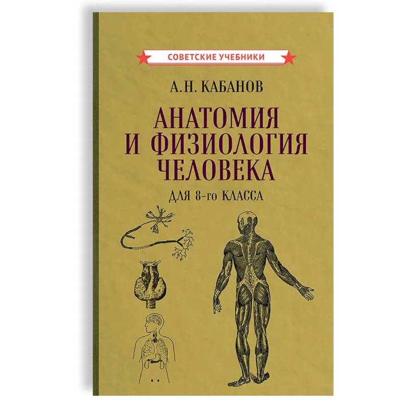 Анатомия и физиология человека для 8 кл. Анатомия и физиология человека для 8 кл.