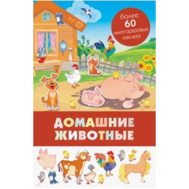 Домашние животные Домашние животные