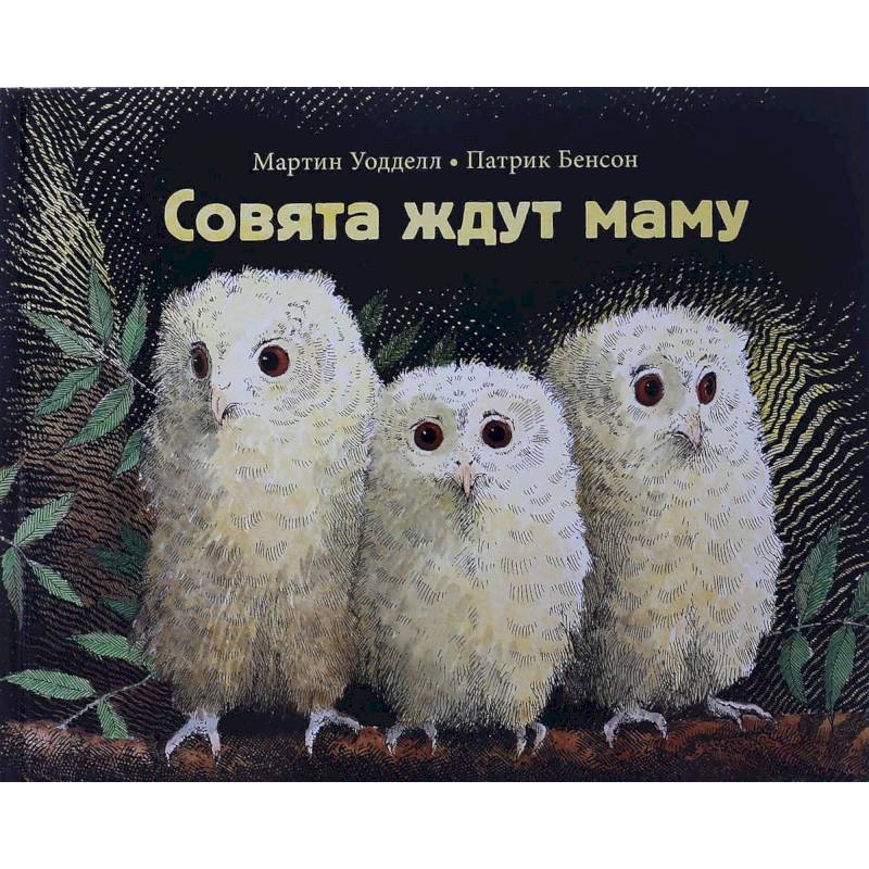 Совята ждут маму Совята ждут маму