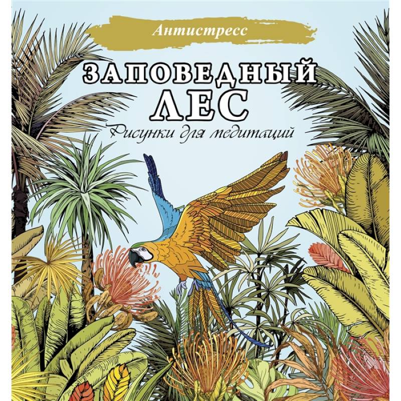Заповедный лес. Рисунки для медитаций Заповедный лес. Рисунки для медитаций