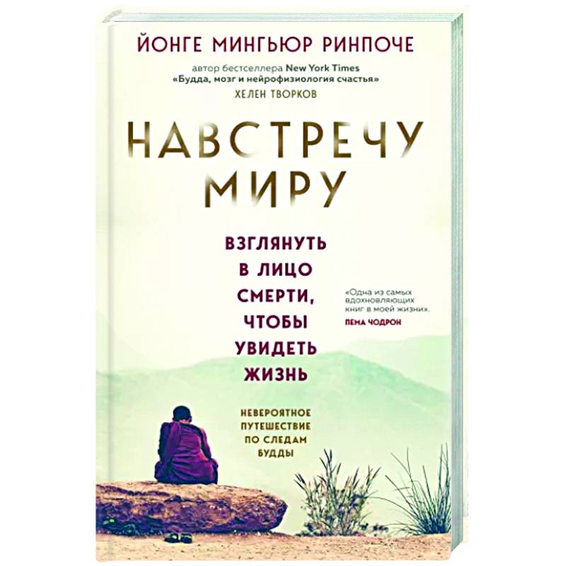 Навстречу миру Навстречу миру