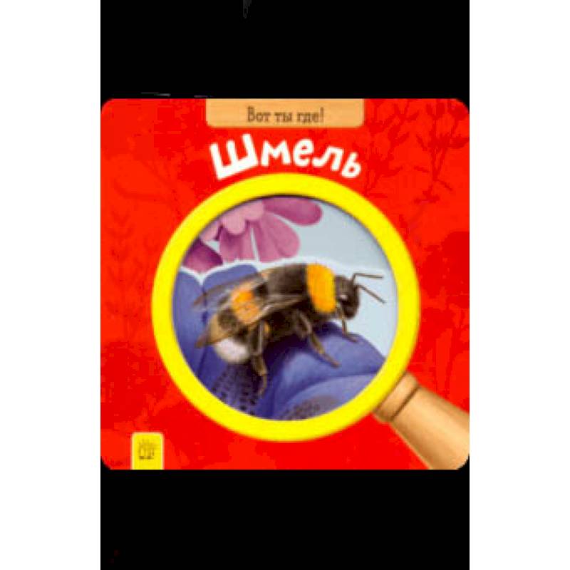 Вот ты где! Шмель Вот ты где! Шмель