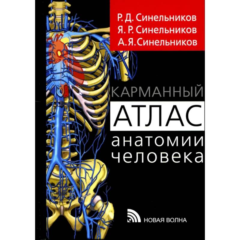 Карманный атлас анатомии человека. Учебное пособие Карманный атлас анатомии человека. Учебное пособие
