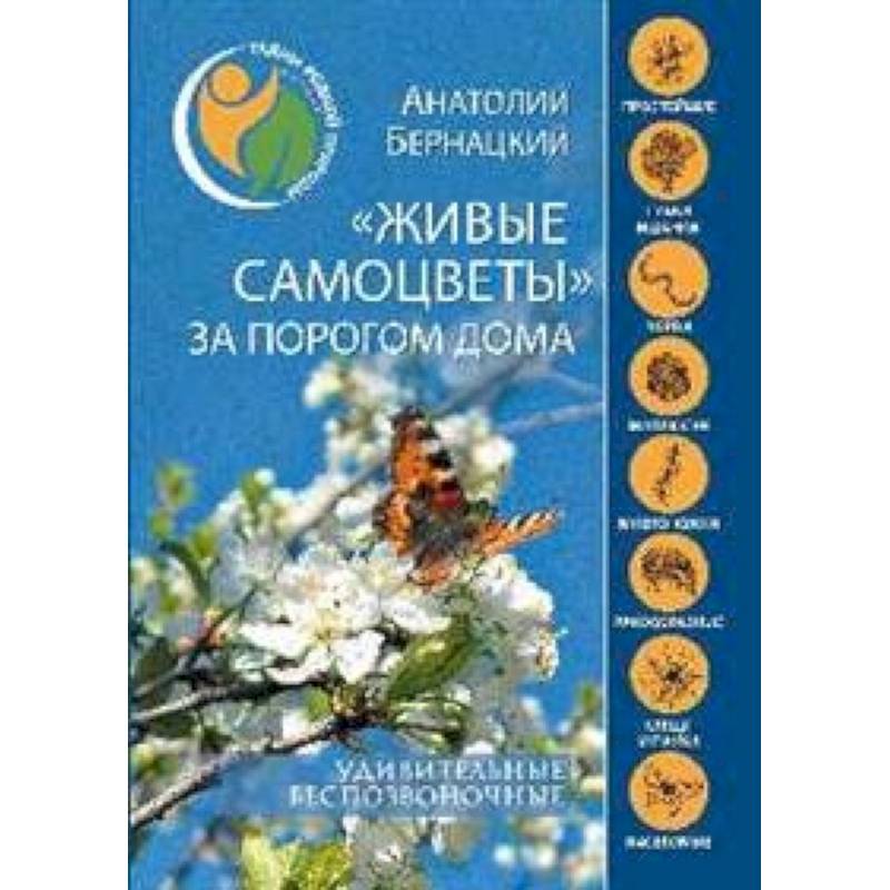 'Живые самоцветы' за порогом дома. Удивительные беспозвоночные 'Живые самоцветы' за порогом дома. Удивительные беспозвоночные