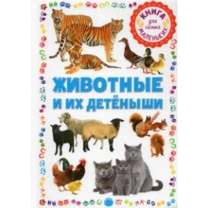 Животные и их детёныши. Книга для самых маленьких Животные и их детёныши. Книга для самых маленьких