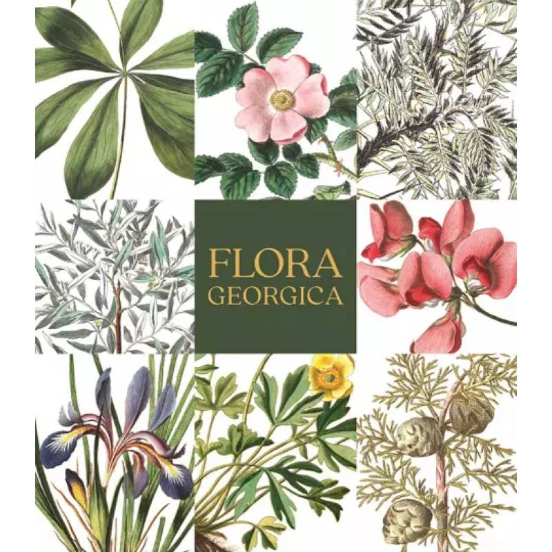 Flora Georgica.Гербарий на фарфоре Flora Georgica.Гербарий на фарфоре