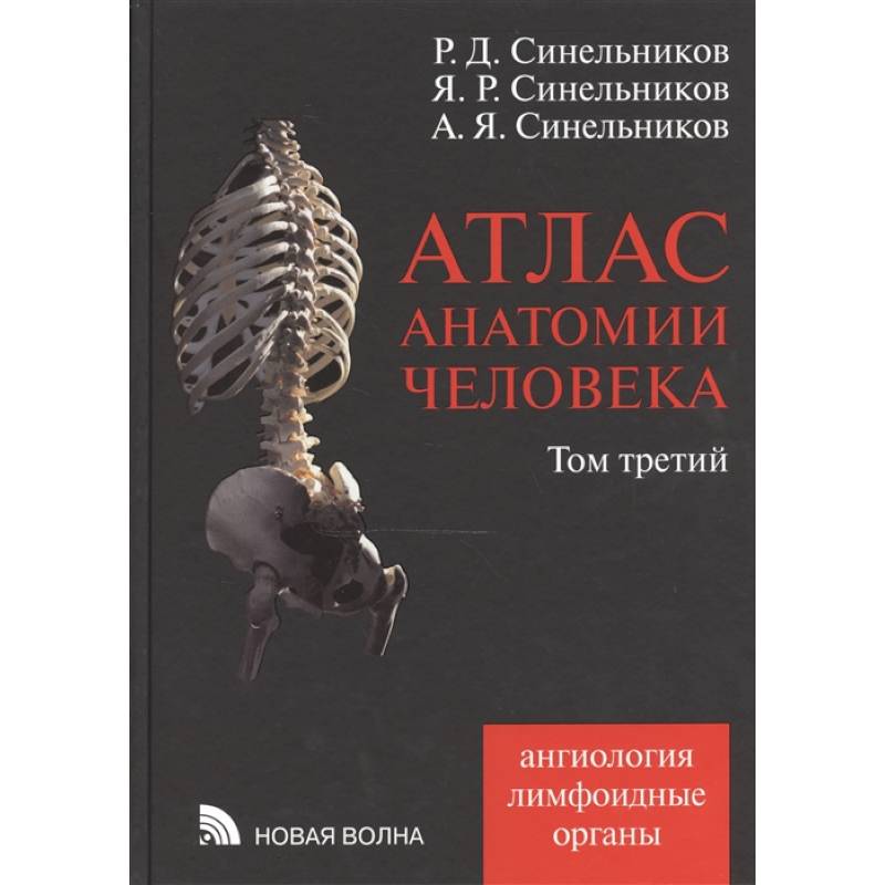 Атлас анатомии человека В 4-х томах. Том 3. Учение о сосудах и лимфоидных органах