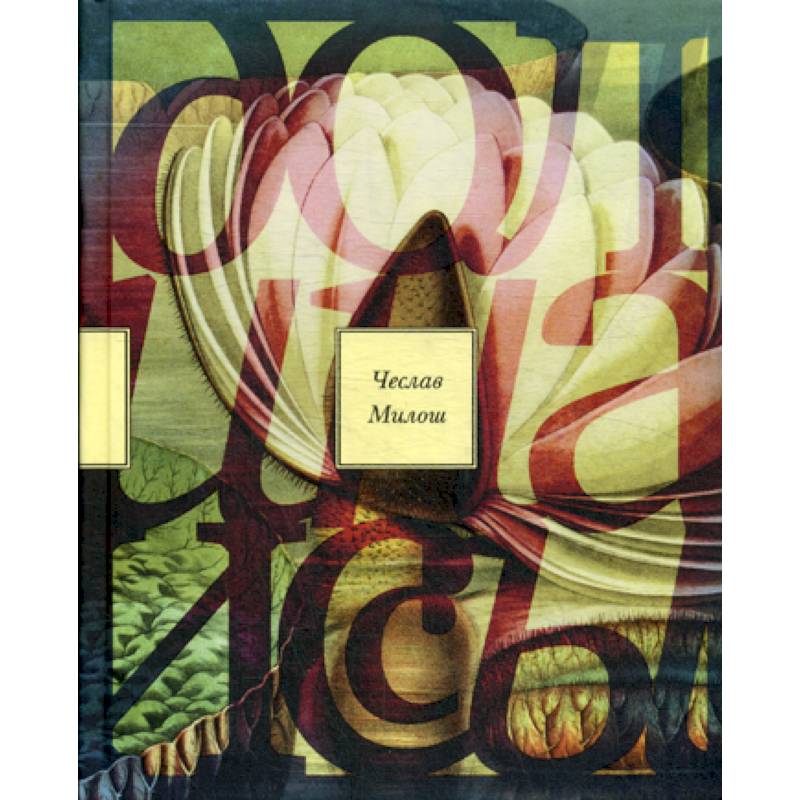 Долина Иссы