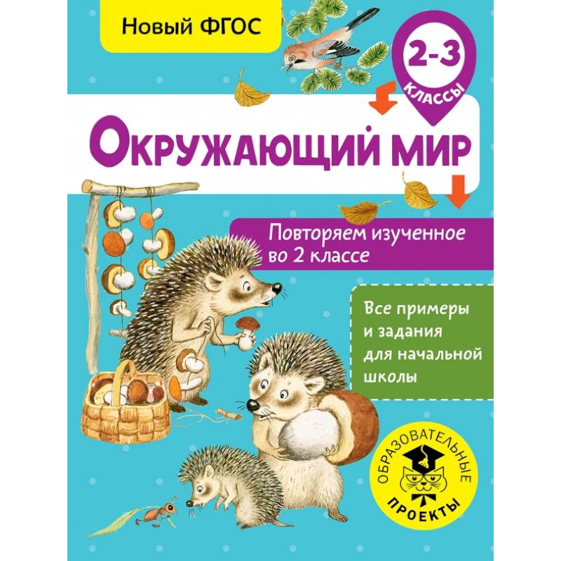 Окружающий мир. Повторяем изученное во 2 классе. 2-3 класс Окружающий мир. Повторяем изученное во 2 классе. 2-3 класс