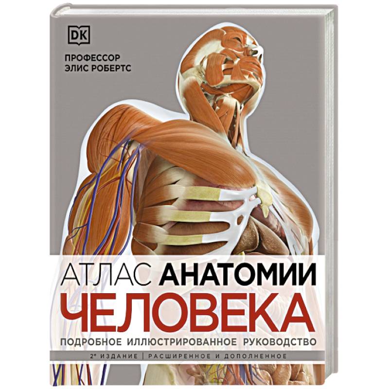 Атлас анатомии человека. Подробное иллюстрированное руководство Атлас анатомии человека. Подробное иллюстрированное руководство