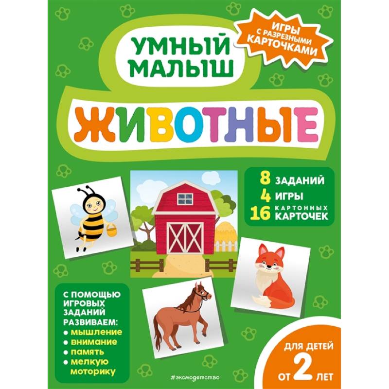 Животные Животные