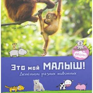 Это мой малыш! Детеныши разных животных Это мой малыш! Детеныши разных животных