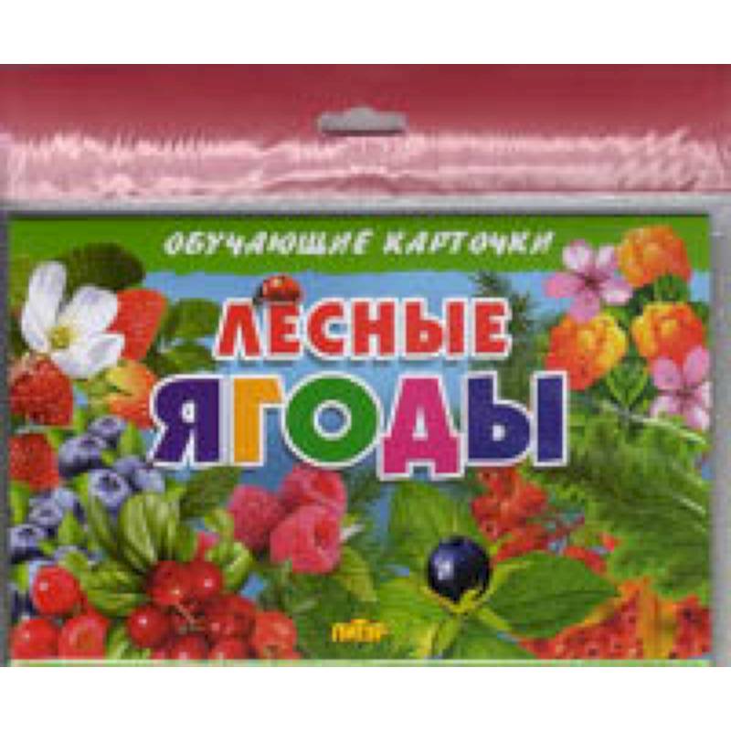 Лесные ягоды Лесные ягоды