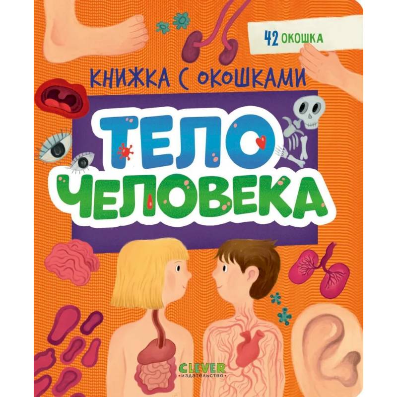 Тело человека Тело человека