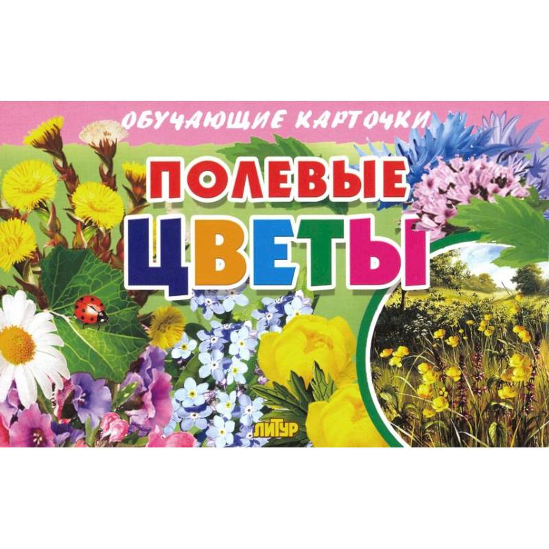 Карточки. Полевые цветы  Карточки. Полевые цветы