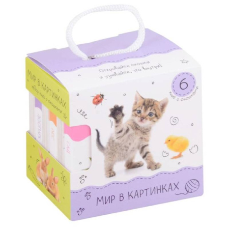 Знакомство с миром, развитие малыша, книга Шоубокс 'Мир в картинках' купить по скидке