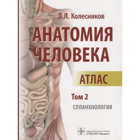 Анатомия и физиология человека, книга Анатомия человека. Атлас. Том 2. Спланхнология купить по скидке