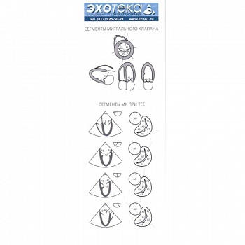 Пособие по эхокардиографии (Буклет Эхотека)