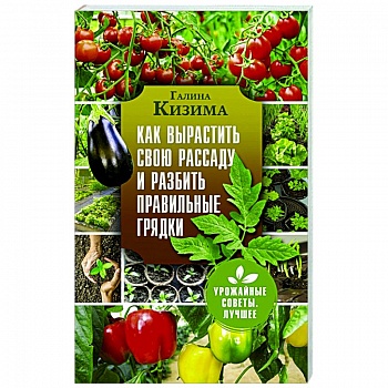 Как вырастить свою рассаду и разбить правильные грядки