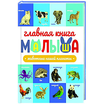 Животные нашей планеты Животные нашей планеты