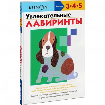 Увлекательные лабиринты Увлекательные лабиринты