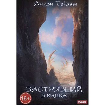 Застрявший. Книга 3. Застрявший в Кишке