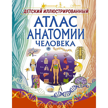 Детский иллюстрированный атлас анатомии человека Детский иллюстрированный атлас анатомии человека