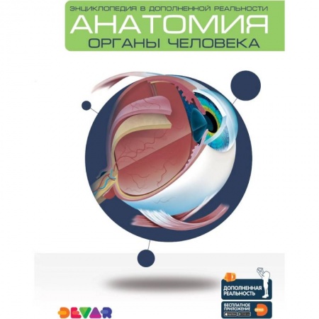 Анатомия и физиология человека, книга Анатомия: Органы человека. Энциклопедия в дополненной реальности купить по скидке