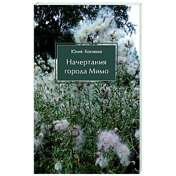 Начертания города Мимо