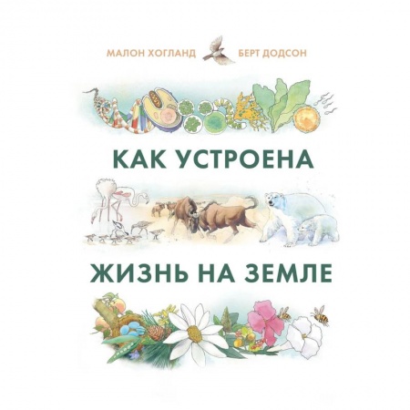 Человек. Земля. Вселенная, книга Как устроена жизнь на Земле купить по скидке