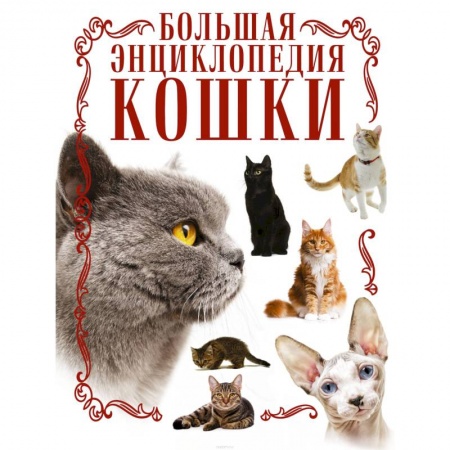 Кошки, книга Кошки. Большая энциклопедия купить по скидке